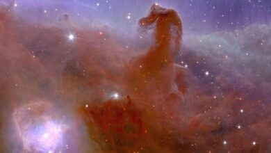 ‘إقليدس’ يلقي أول نظرة على مجرات مبهرة لم يسبق مشاهداتها..صور التلسكوب الفضائي الأوروبي