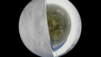 أكد علماء فيزياء حيوية أنهم اكتشفوا  قمر تابع لكوكب زحل في القمر الجليدي لكوكب زحل "إنسيلادوس"