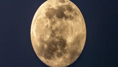 كشفت دراسة حديثة لوكالة "ناسا" الفضائية أن القمر يشهد تقلصا في حجمه