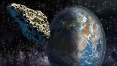 يوجد ما يقدر بنحو 1.1 إلى 1.9 مليون كويكب في حزام الكويكبات في النظام الشمسي، وهو امتداد واسع من الصخور الفضائية