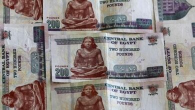استقر  الجنيه المصري  عند نحو 49.5 جنيه للدولار مع فتح السوق ، بعد يوم من سماح البنك المركزي