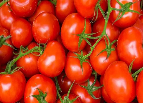 تعمل الكاروتينات اللوتين والزياكسانثين الموجودة في الطماطم على حماية العينين من الضوء الأزرق