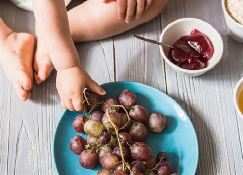 فوائد تناول العنب الأسود للأطفال الرضع..فالعنب بكل ألوانه وأنواعه، سواء الأسود أو الأصفر، يُعتبر من الفواكه المحببة في فصل الصيف،