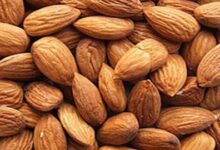 يُعتبر اللوز من الأطعمة الغنية بالعناصر الغذائية الضرورية، وله دور مهم في تحسين صحة القلب وخفض ضغط الدم، خاصة عندما يُتناول بانتظام