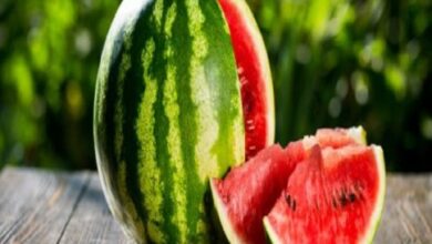 البطيخ والخوخ ليست فقط لذيذة في فصل الصيف، بل تتمتع أيضًا بفوائد صحية مهمة