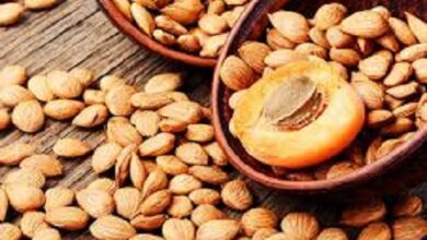 نالت نوى المشمش اهتمامًا كبيرًا بفضل فوائدها الصحية المتنوعة، إذ تحتوي على مركبات لها خصائص مضادة للأكسدة،