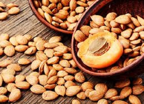 نالت نوى المشمش اهتمامًا كبيرًا بفضل فوائدها الصحية المتنوعة، إذ تحتوي على مركبات لها خصائص مضادة للأكسدة،