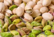 كشفت دراسة أميركية حديثة أن تناول الفستق ليلاً يمكن أن يُحسن من تركيبة بكتيريا الأمعاء