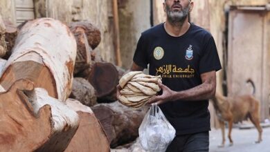 مصر تقترب من تحقيق شروط النقد الدولي رغم بعض النقائص