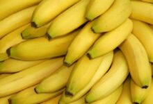 الكورتيزول هو هرمون يُعرف بهرمون التوتر، ويلعب دورًا أساسيًا في جسم الإنسان، إذ يؤثر على التمثيل الغذائي،