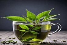 يُعد الشاي الأخضر من المشروبات الشهيرة حول العالم، ويُقبل الناس على تناوله للاستفادة من الكافيين لزيادة النشاط والطاقة، ومضادات الأكسدة