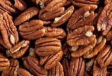 يُعتبر الجوز من أكثر المكسرات قيمة غذائية، إذ يحتوي على دهون متعددة غير مشبعة وأحماض أوميغا 3 الدهنية،