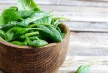 تعتبر السبانخ واحدة من أكثر الخضراوات غنى بالعناصر الغذائية، فهي مليئة بالفيتامينات والمعادن والمركبات النباتية التي تدعم صحة الجسم بشكل شامل،