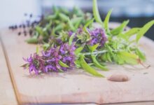 فوائد عشبة الناردين مذهلة في علاج القلق وتحسين جودة النوم