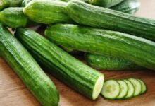 تناول الخيار على الريق: فوائد صحية بدون آثار جانبية على الأمعاء