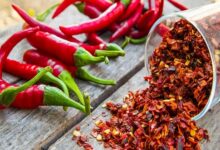 أظهرت أبحاث حديثة أن تناول الفلفل الحار الكامل بانتظام يساعد على خفض ضغط الدم، ولكن تناول الصلصات الحارة