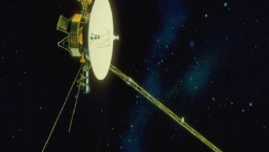 ناسا تؤكد أن المسبار الفضائي فوياجر 1 غادر في حوالي 25 أغسطس 2013 حدود المجموعة الشمسية بعد رحلة استمرت 36 سنة.
