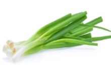 البصل الأخضر: فوائده الصحية وتأثيره على السكر وصحة الجسم