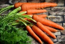 فوائد الجزر الصحية: دعم العين والقلب والدماغ