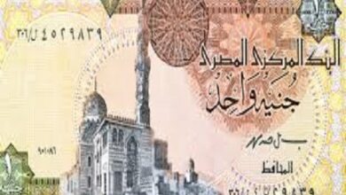 الجنيه المصري يواصل الصعود ويسجّل أعلى مستوياته منذ تعويم مارس 2024