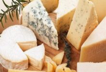 هل يساعد الجبن عالي الدهون على الوقاية من الخرف؟ ما كشفته الدراسة السويدية