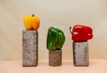 فوائد الفلفل الملون في تقوية المناعة.. قدرات هائلة غير متوقعة