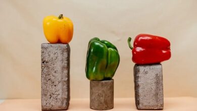فوائد الفلفل الملون في تقوية المناعة.. قدرات هائلة غير متوقعة