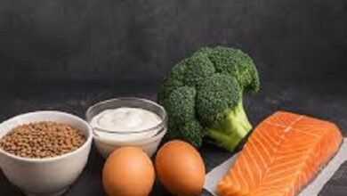 6 مصادر بروتين أساسية لتعزيز صحة الدماغ والوقاية من الخرف