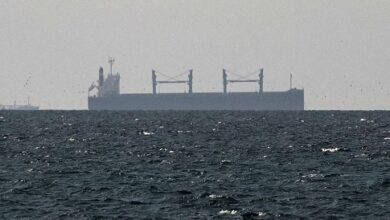 أجل مجلس الأمن الدولي التصويت الذي كان معدا على مشروع قرار قدمته مملكة البحرين، يتيح استخدام القوة الدفاعية لضمان حرية الملاحة في مضيق هرمز